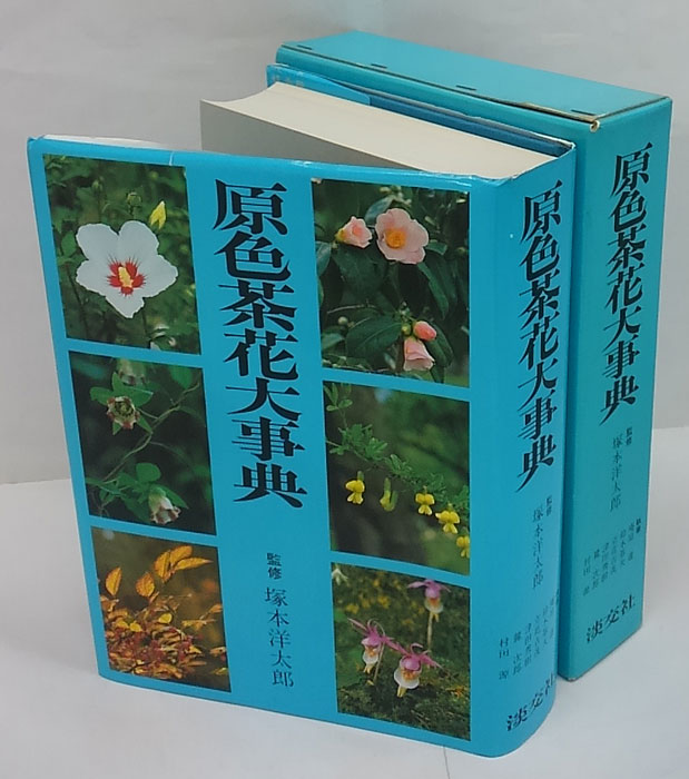 原色茶花大事典(塚本洋太郎 監修 庵原遜 他) / 岩森書店 / 古本、中古