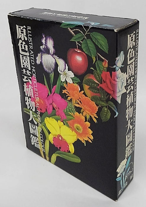 新しいブランド gennshoenngeishokubutu.jpg 野草、植物