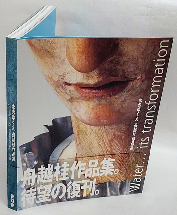 水のゆくえ 舟越桂作品集 復刊(舟越桂) / 古本、中古本、古書籍