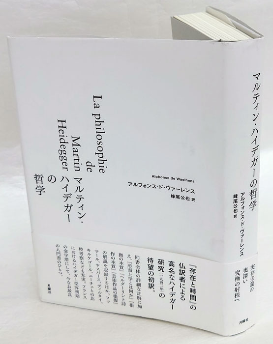 マルティン・ハイデガー: 伝記への途上で (ポイエーシス叢書 29