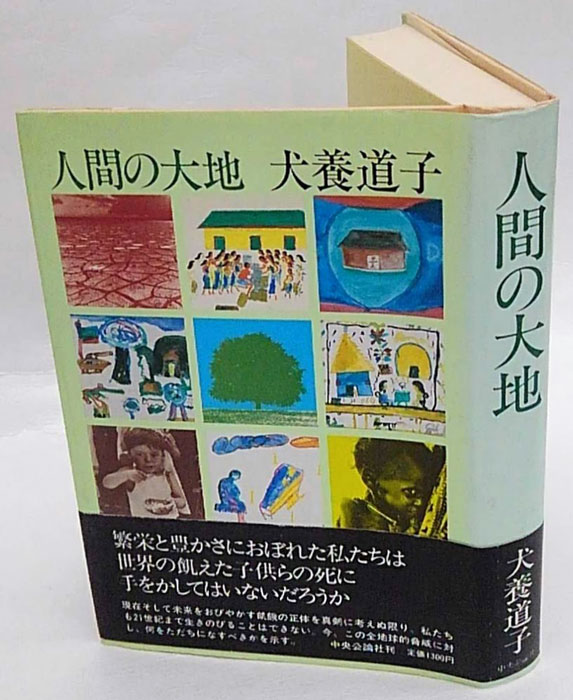 緑と人間の大地を歩く 中国紀行/泰流社/大林しげる