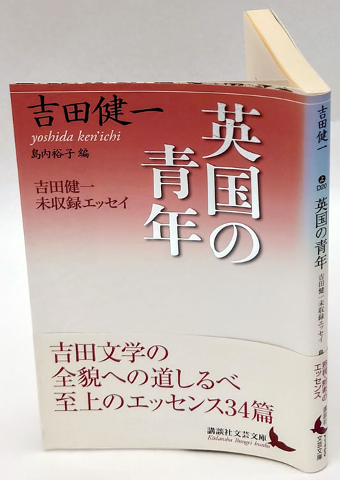 eikokunoseinenn.jpg