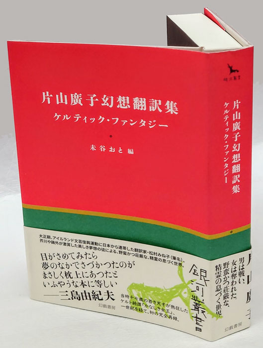 katayamahirokogennsou.jpg