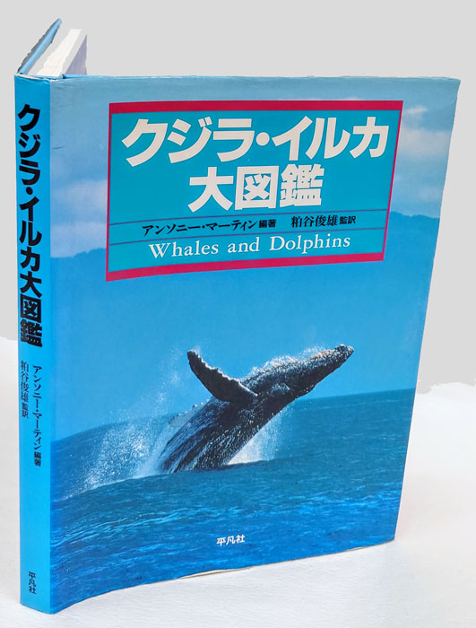 94％以上節約 クジラの海をゆく探究者たち(上) 『白鯨』でひもとく海の自然史／リチャード・Ｊ．キング(著者),坪子理美(訳者) afb 