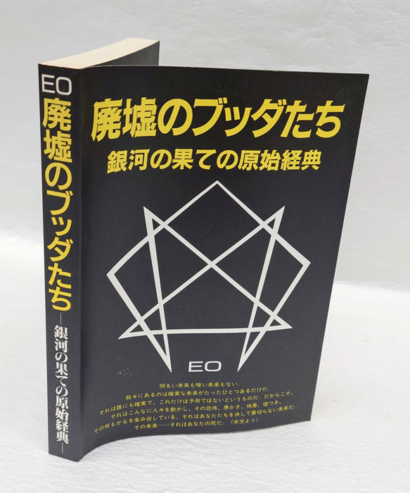 廃墟のブッダたち 銀河の果ての原始経典(EO) / 岩森書店 / 古本、中古 ...