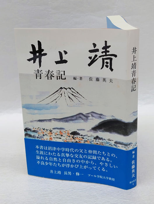 静岡県駿河記 - 人文/社会