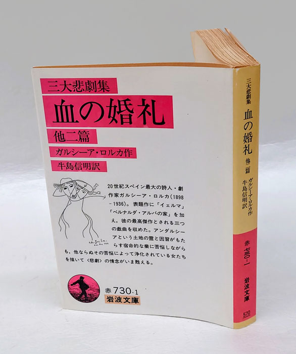 ハイネ 歌の本 流刑の神々 冬物語 ロマンツェーロ 他 岩波文庫 全9冊セット ハイネ 歌の本 流刑の神々 冬物語 ロマンツェーロ 他 岩波文庫 全9冊